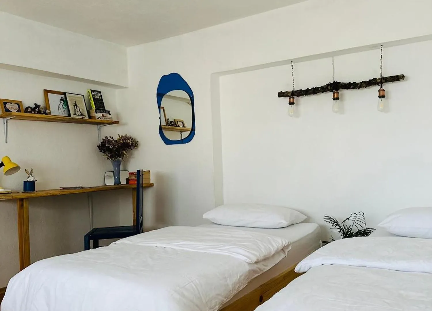 My Wooden Apartments Tirana Albania